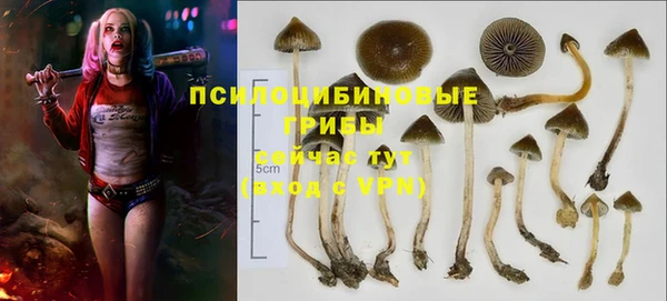 кокс Алексин