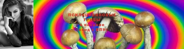 мяу мяу мука Алзамай